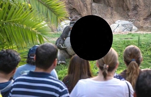 talking ape - eclipse.jpg